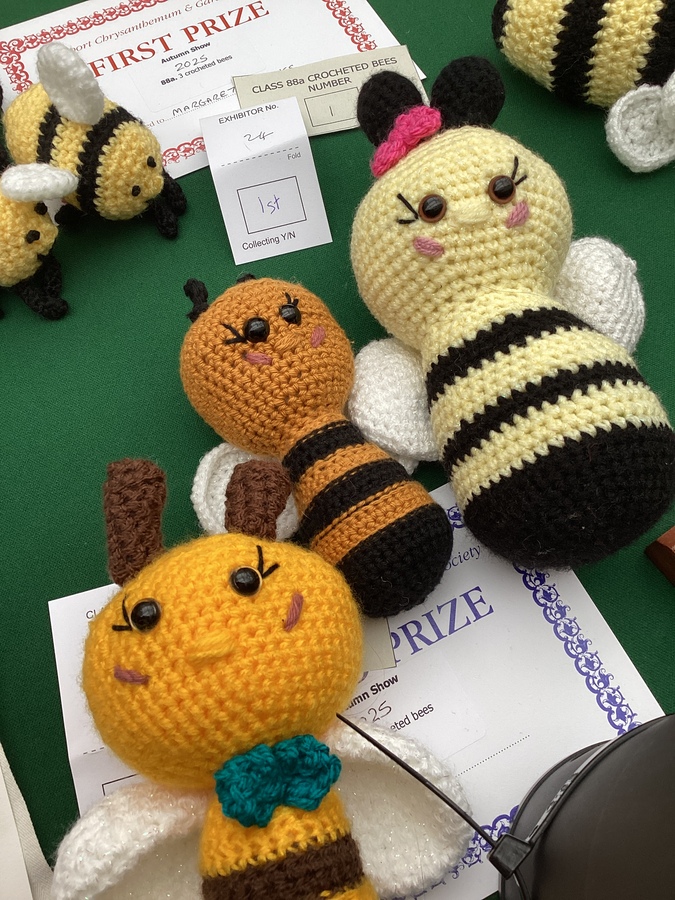 SCGS Autumn Show 2025 (183)